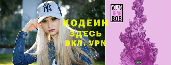 ГАЛЛЮЦИНОГЕННЫЕ ГРИБЫ Каменка