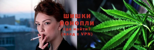ГАЛЛЮЦИНОГЕННЫЕ ГРИБЫ Каменка