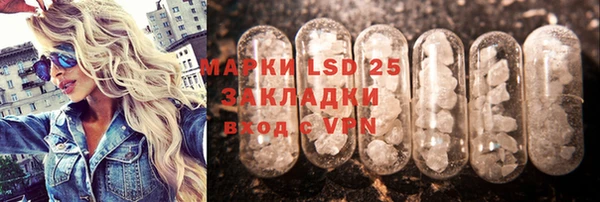 ГАЛЛЮЦИНОГЕННЫЕ ГРИБЫ Каменка