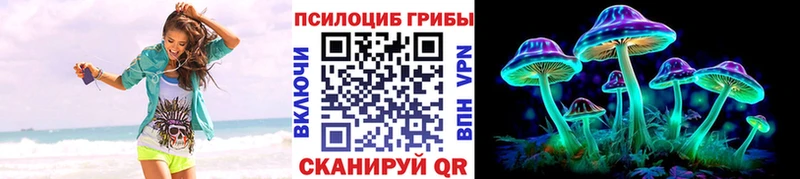 продажа наркотиков  Кимры  дарк нет наркотические препараты  Галлюциногенные грибы GOLDEN TEACHER 