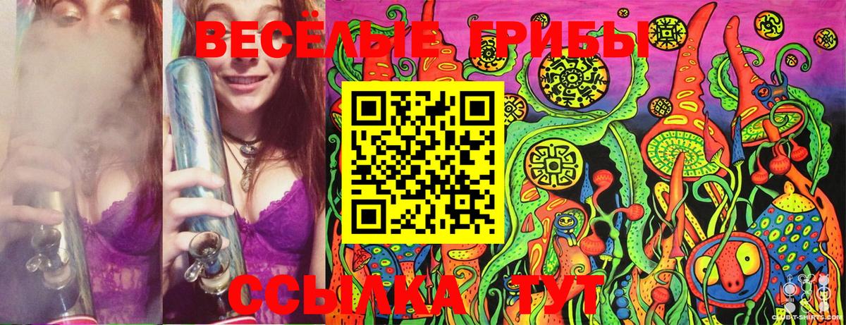 Псилоцибиновые грибы MAGIC MUSHROOMS  Галлюциногенные грибы мухоморы  Кимры  Вход с VPN 